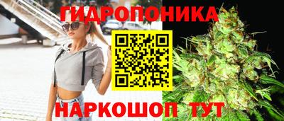 альфа пвп Пушкино