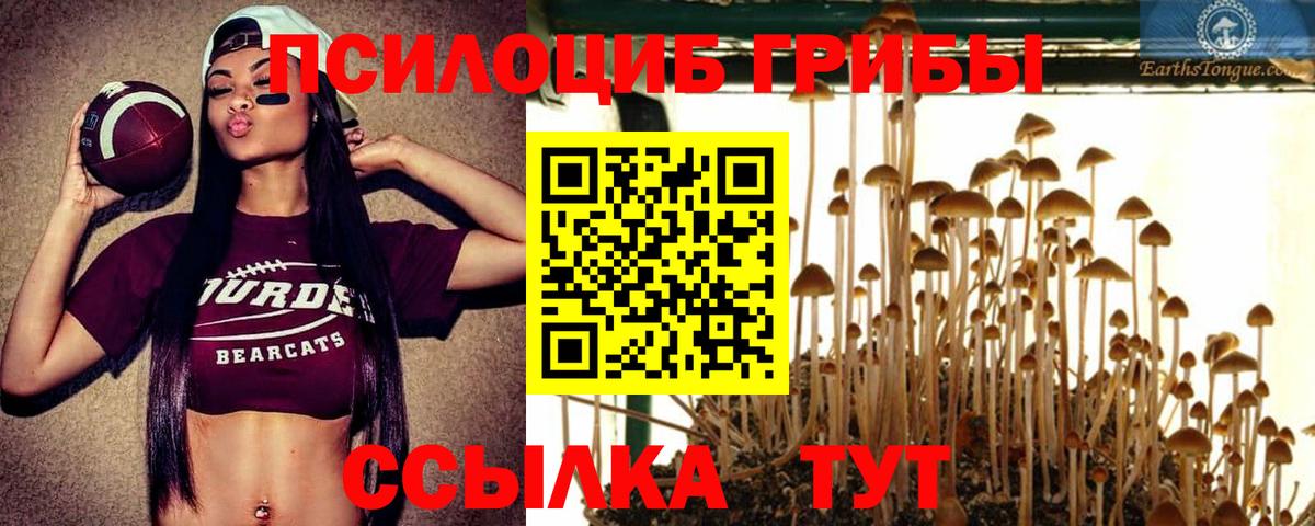 Галлюциногенные грибы GOLDEN TEACHER  Псилоцибиновые грибы мухоморы  Протвино  Вход с VPN 